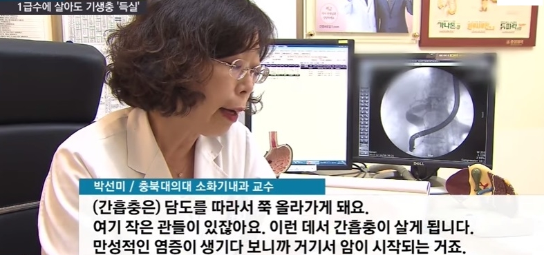 [혐주의] 1급수에 사는 민물고기라도 기생충 천지._10.jpg