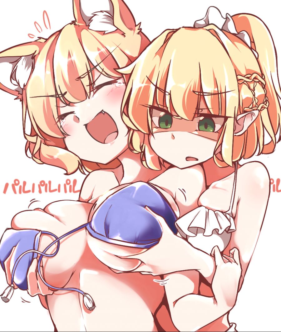 __mizuhashi_parsee_and_yakumo_ran_touhou_drawn_by_gokuu_acoloredpencil__63d6accc2af1fb1ac354cd30e7f50131.jpg