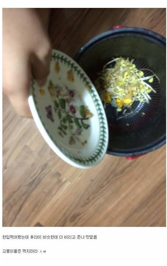 악마도 울고갈 고갤 비둘기 빌런.jpg_9.png