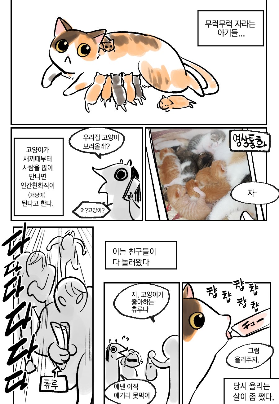 임신한 고양이를 주워왔더니 새끼를 낳은 만화_1.jpg