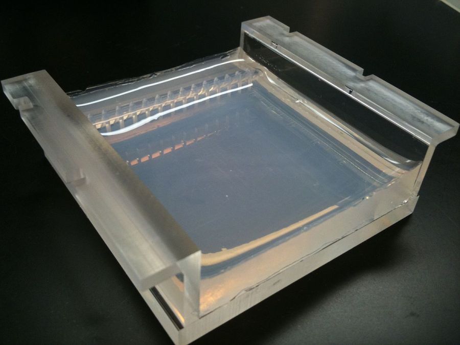 1200px-Two_percent_Agarose_Gel_in_Borate_Buffer_cast_in_a_Gel_Tray_(Front,_angled).jpg