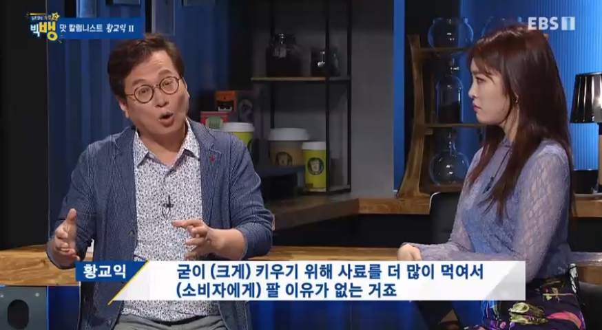 황교익 EBS 특강 첫부분 치킨 | 과거 유머 게시판(3)