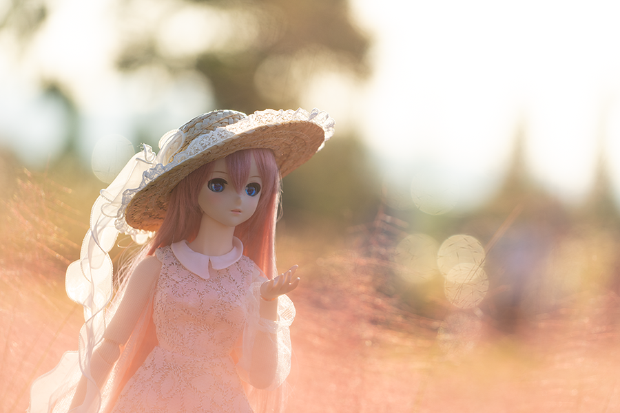 핑크뮬리 출사_3.png