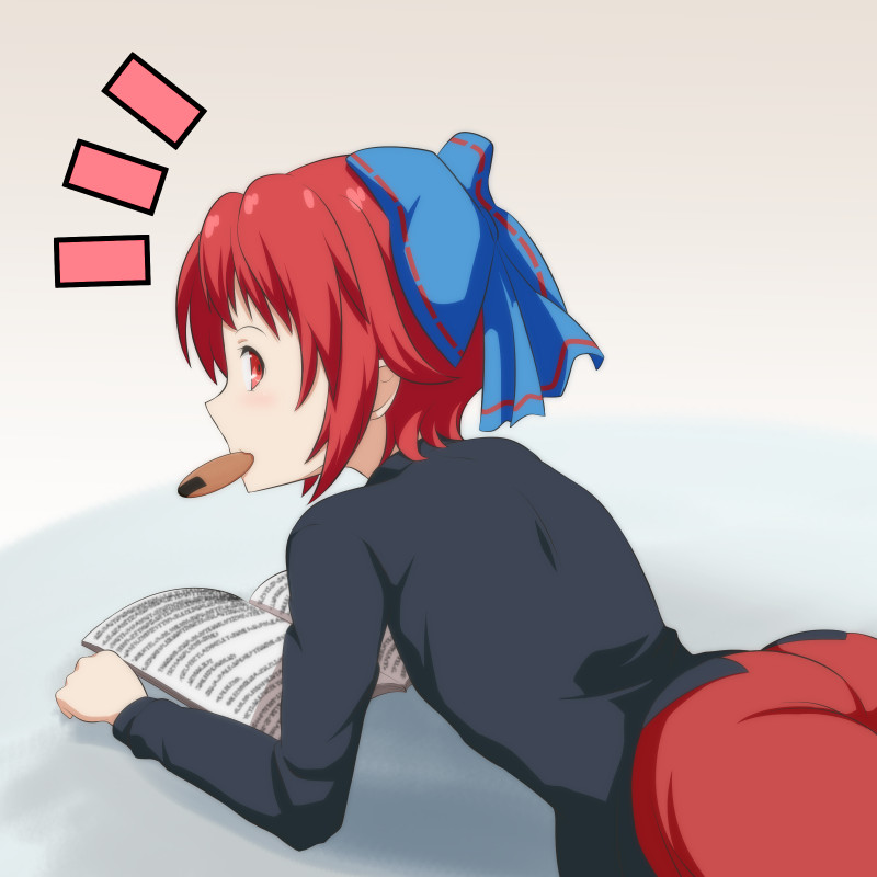 __sekibanki_touhou_drawn_by_cato_monocatienus__fa1cbbc29ba753f741354aa6fc952748.jpg