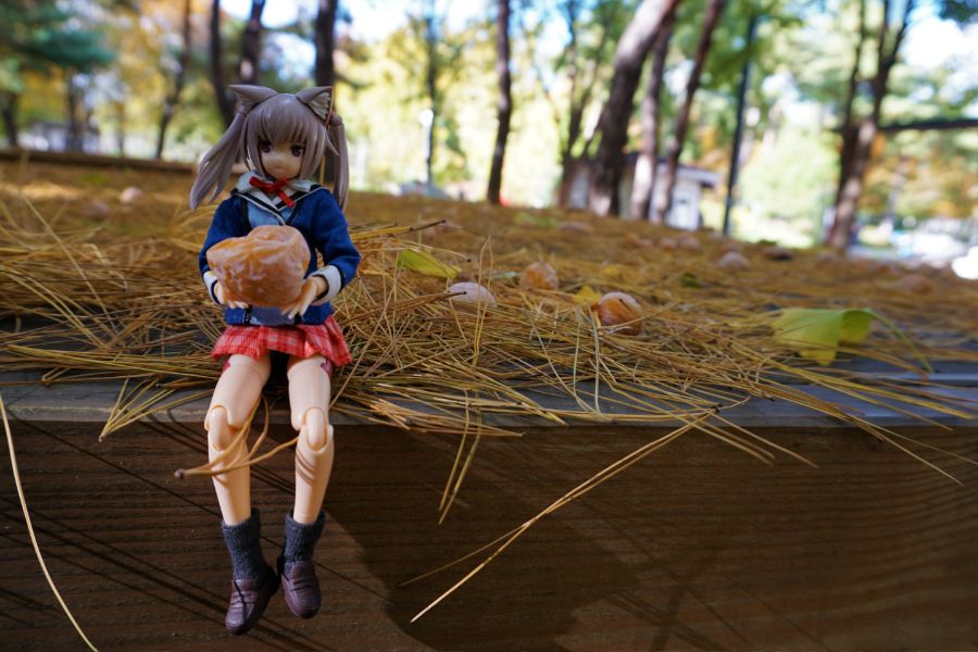 [FAG] 이노센티아와 놀자!_15.jpg