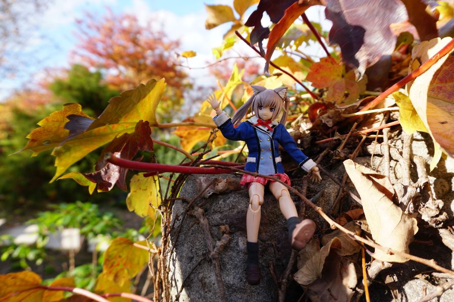 [FAG] 이노센티아와 놀자!_18.jpg