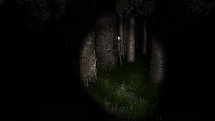 Slender-2012-07-23-18-02-11-26.jpg