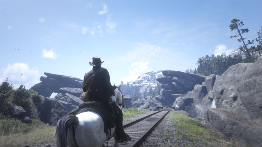 Red Dead Redemption 2 (46).png