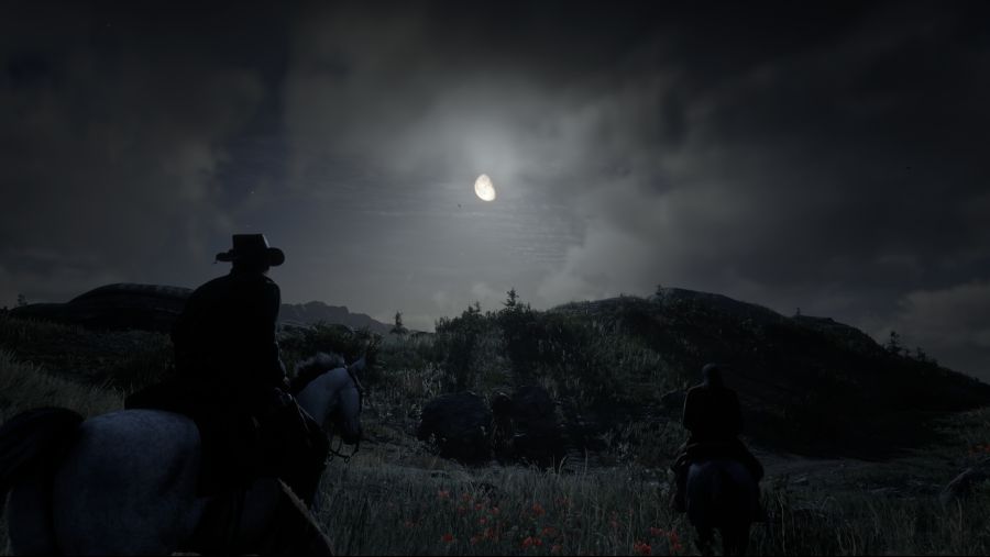 Red Dead Redemption 2 (52).png