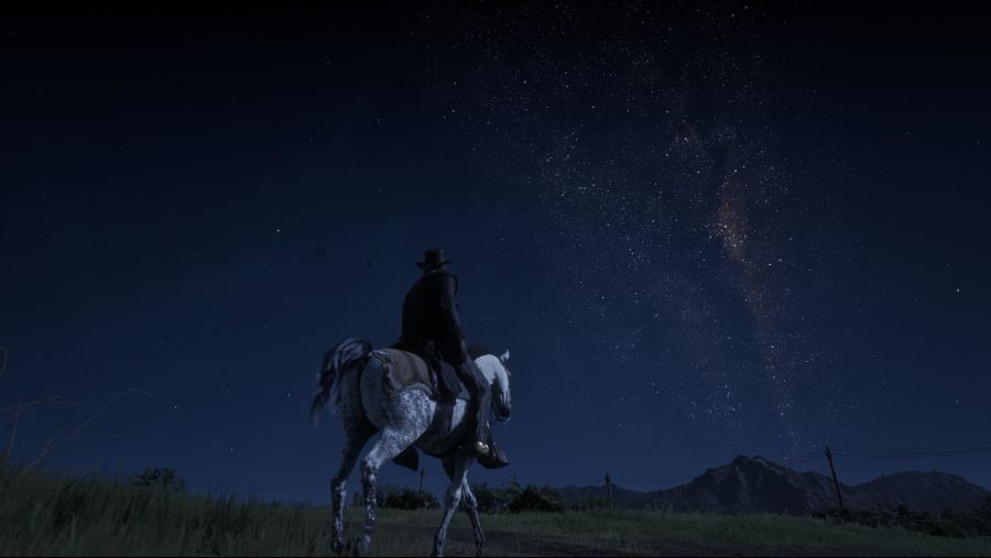 Red Dead Redemption 2 (59).png
