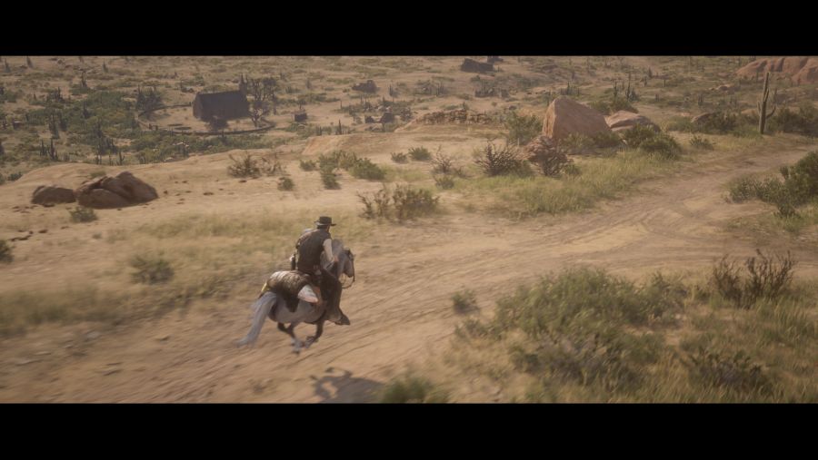 Red Dead Redemption 2 (87).png