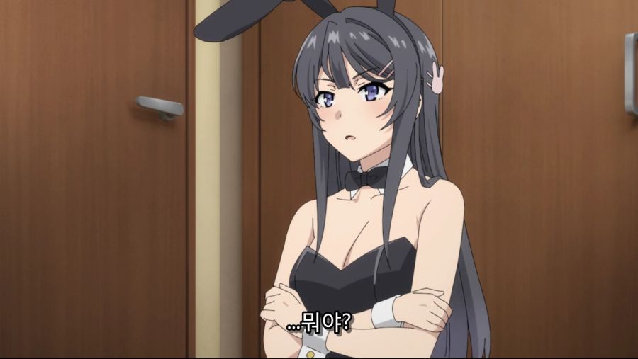 [SHANA][HorribleSubs] Seishun Buta Yarou wa Bunny Girl Senpai no Yume wo Minai - 06 [1080p].mp4_000028549.jpg