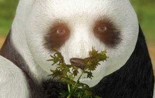 오늘 대기열 9천 뚫고 로아 들어가서 한 일.jpg_5.jpg