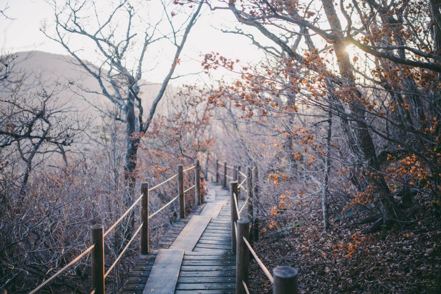 30대 중반, 지리산 첫 등산 1박3일 종주기. 1부(분량 다수)_9.jpg