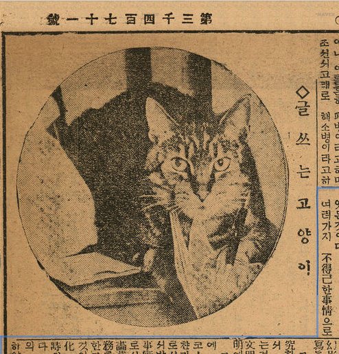 1930년 신문의 고양이_2.jpg