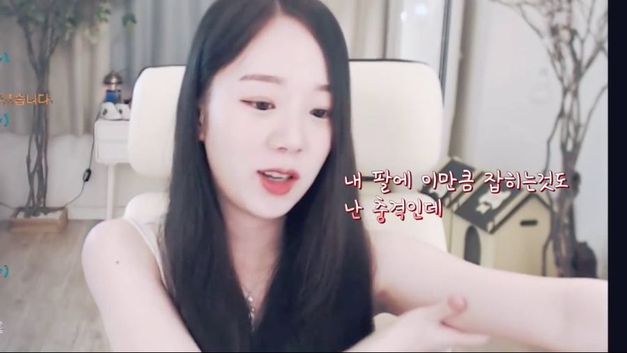 bj사과 