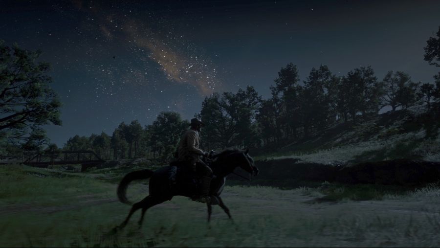 Red Dead Redemption 2_20181106214725.jpeg