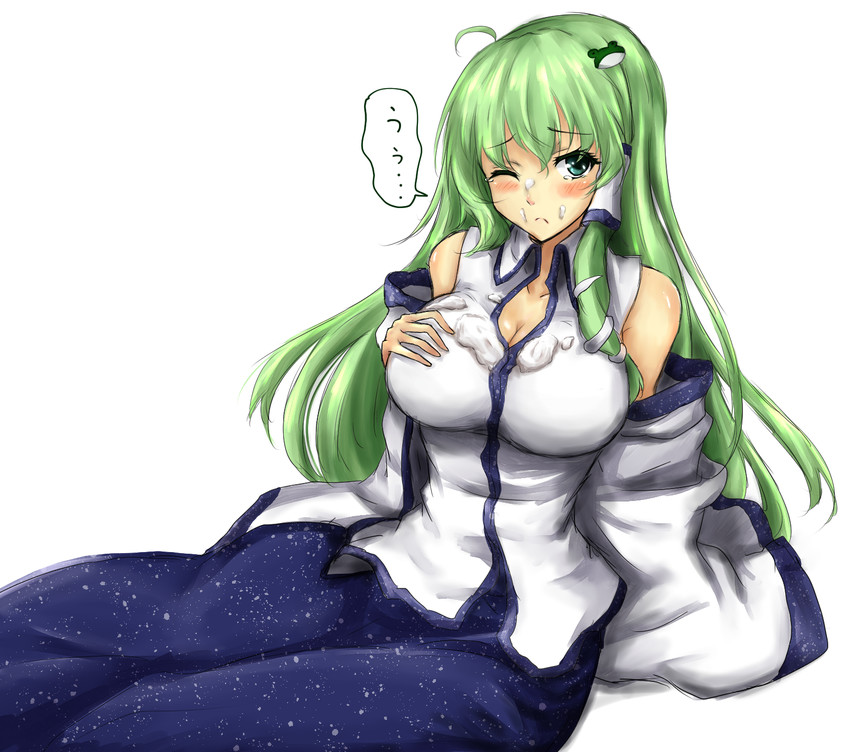 __kochiya_sanae_touhou_drawn_by_amagi_amagi626__sample-58742fe14cd39925205fdb62579229eb.jpg