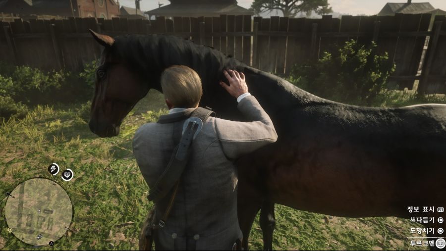 Red Dead Redemption 2_20181116232642.jpg