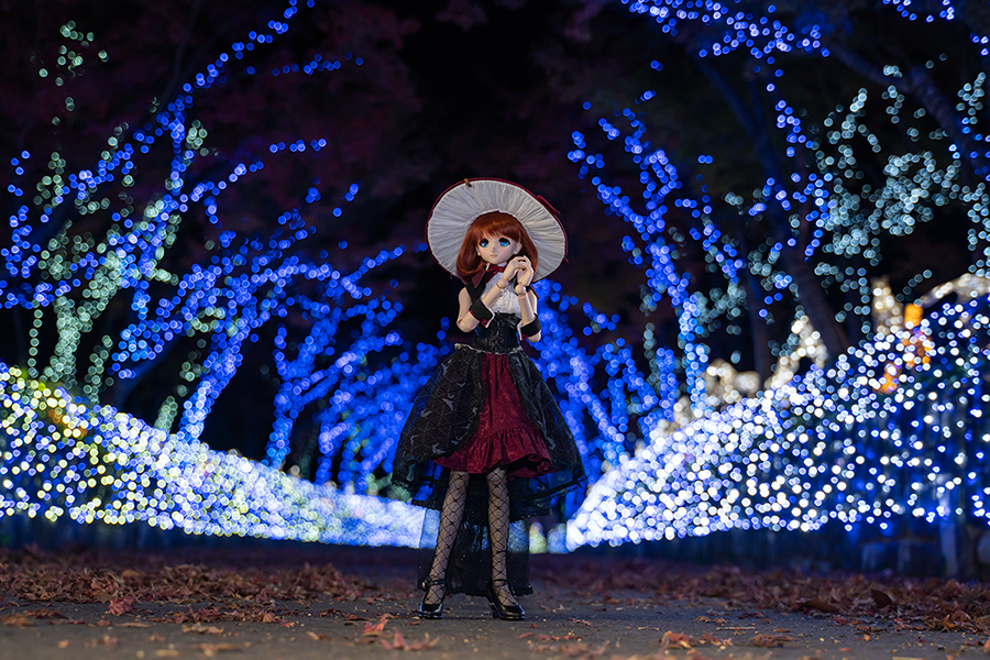 야간 출사, 첫눈 출사_3.png