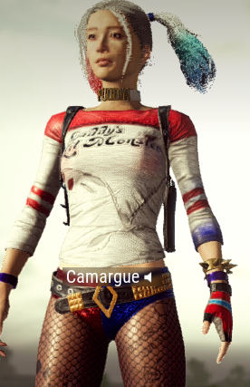 배틀그라운드 할리퀸 스킨.jpg_1.png