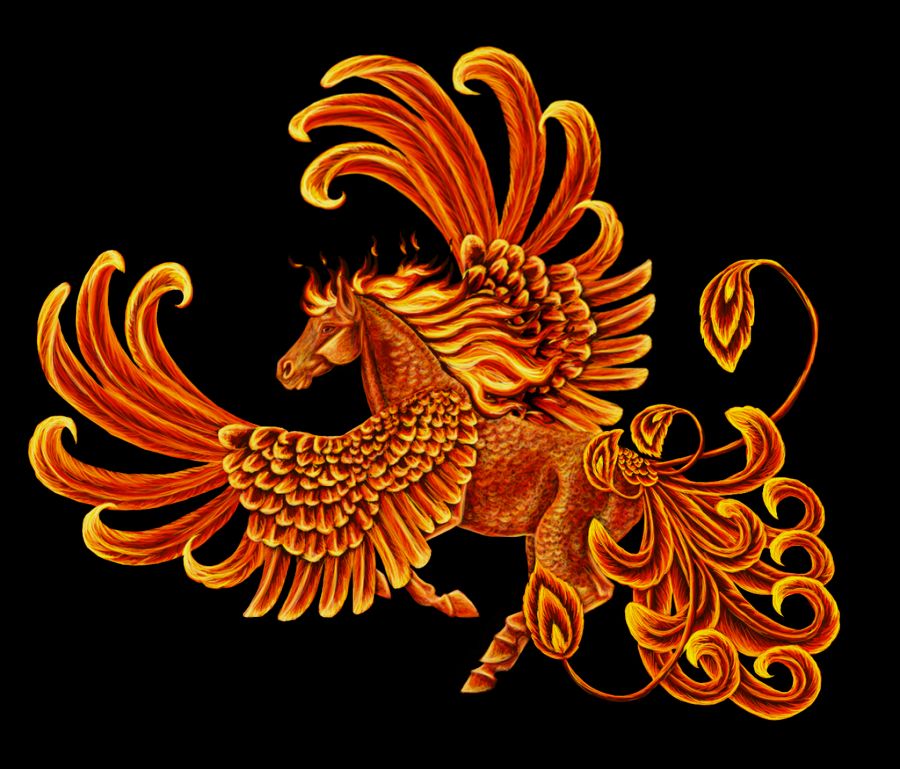 phoenix_horse_lines_with_featherswip_by_boobrrypiegrl_d81otld-fullview.png