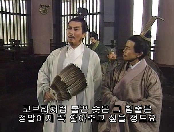 [고전] 공명, 삼국무쌍을 논하다 (사진많음)_30.jpg