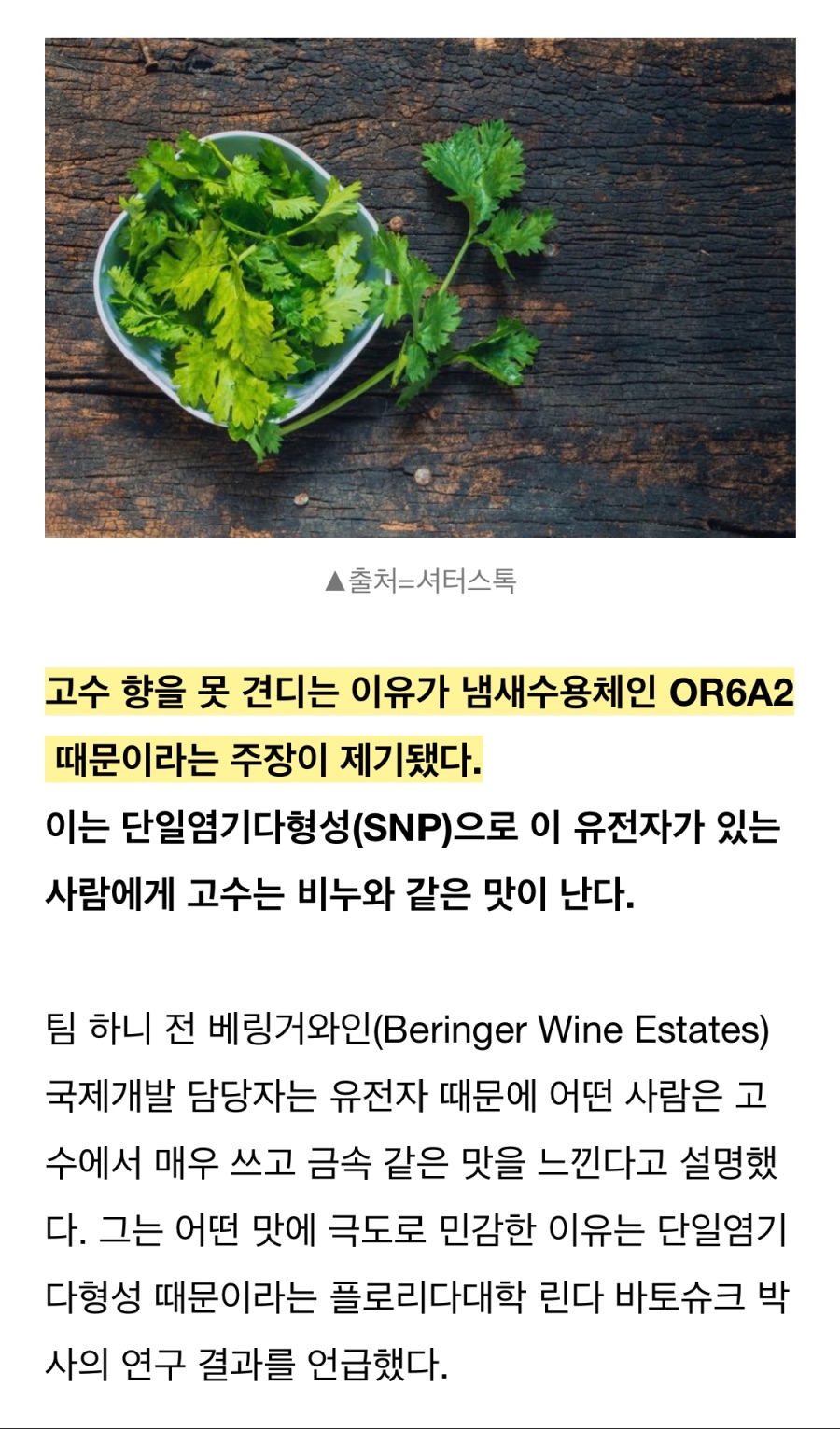 사람따라 고수 맛이 다른 이유jpg
