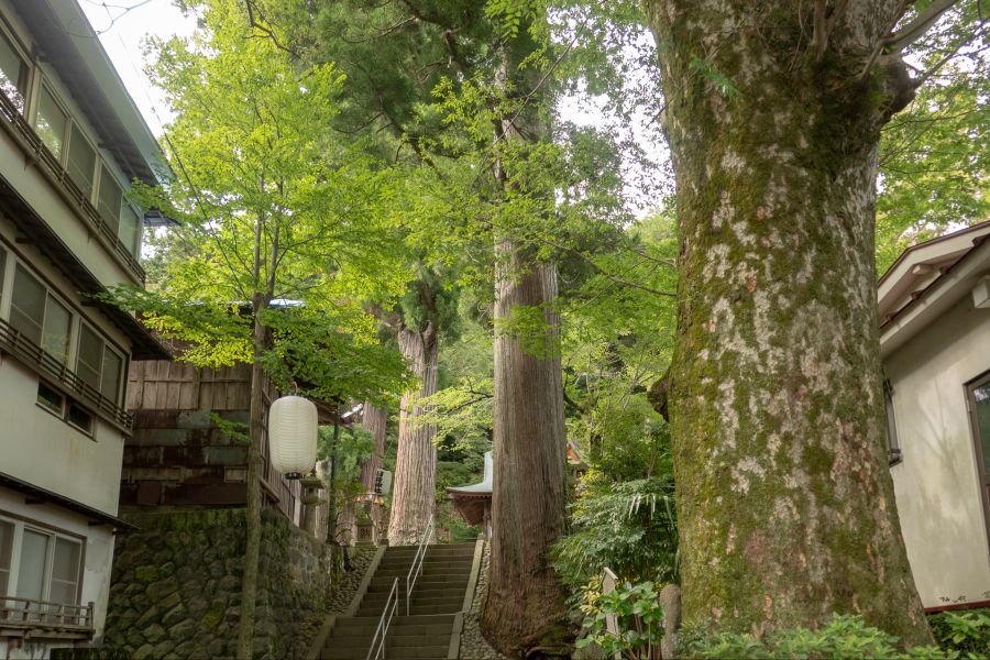 [스압] 러브라이브 없이도 누마즈를 즐기는 법 - 시즈오카 여행_51.jpg