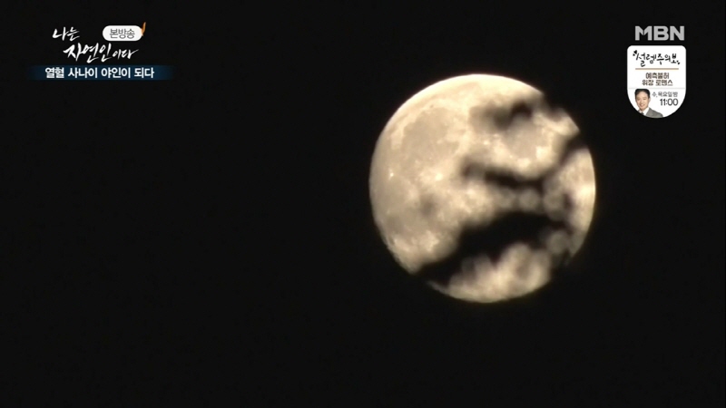 나는 자연인이다 윤택 근황.jpg_1.jpg