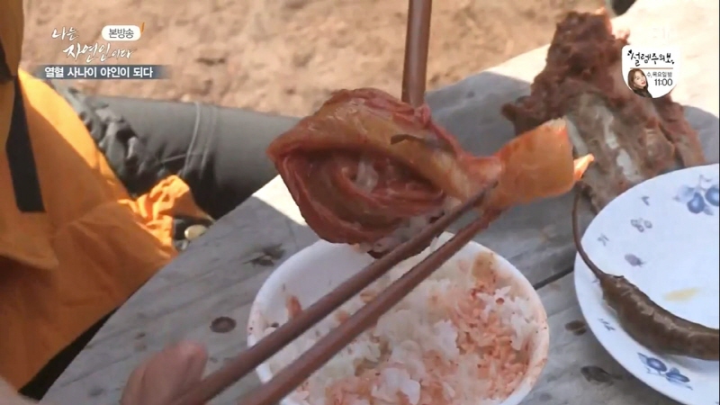 나는 자연인이다 윤택 근황.jpg_29.jpg