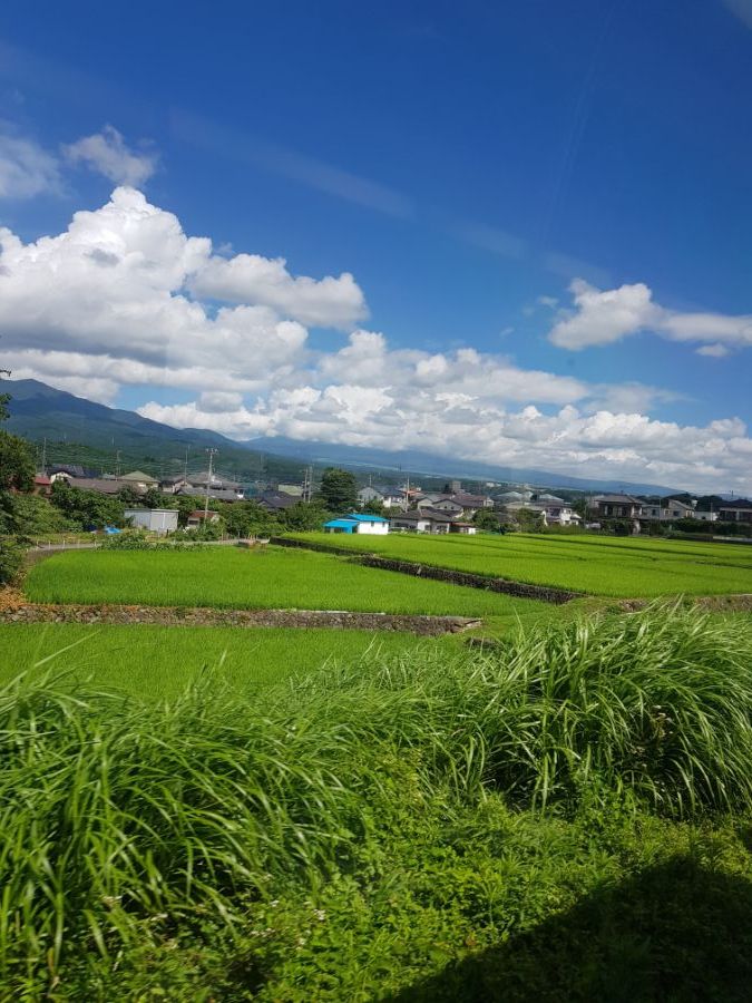 [스압] 러브라이브 없이도 누마즈를 즐기는 법 - 시즈오카 여행_63.jpg