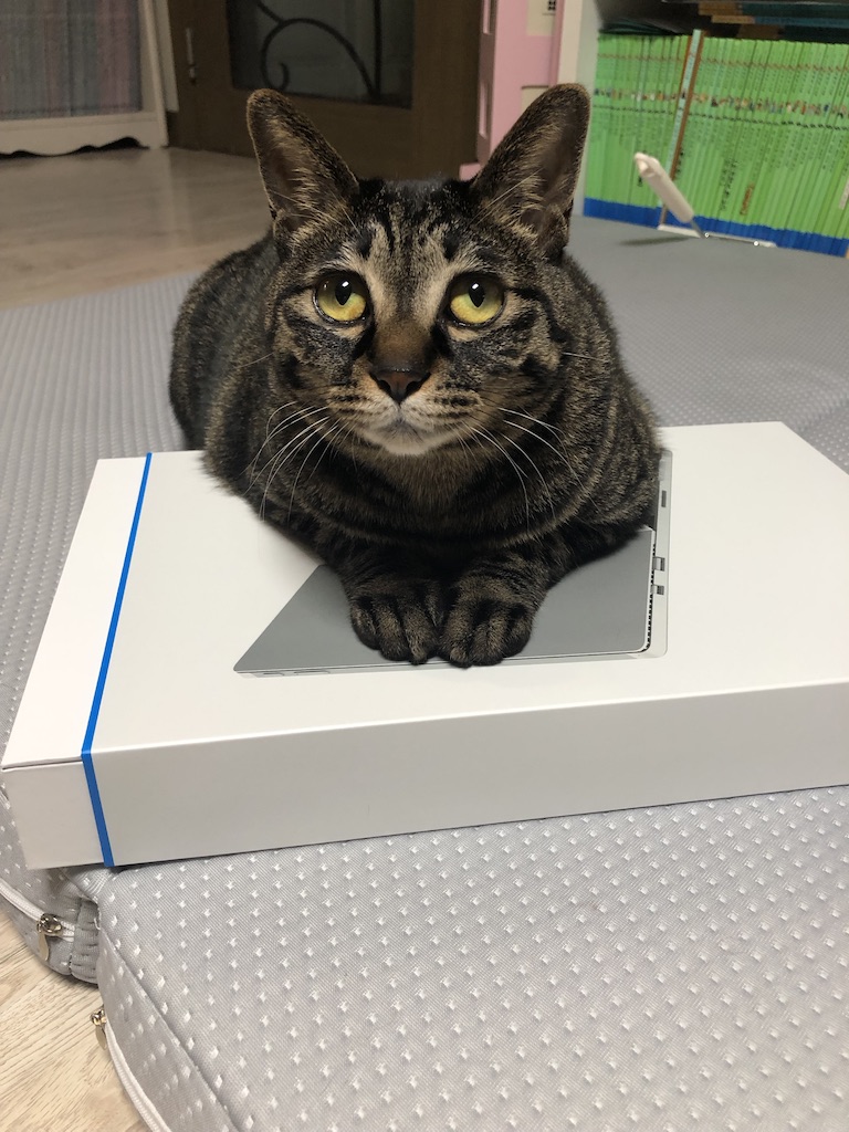 뜻밖의 서피스4_3.jpg