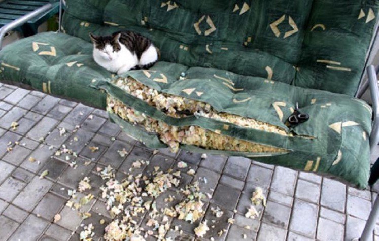 그래도 두부는 귀엽다_3.jpg