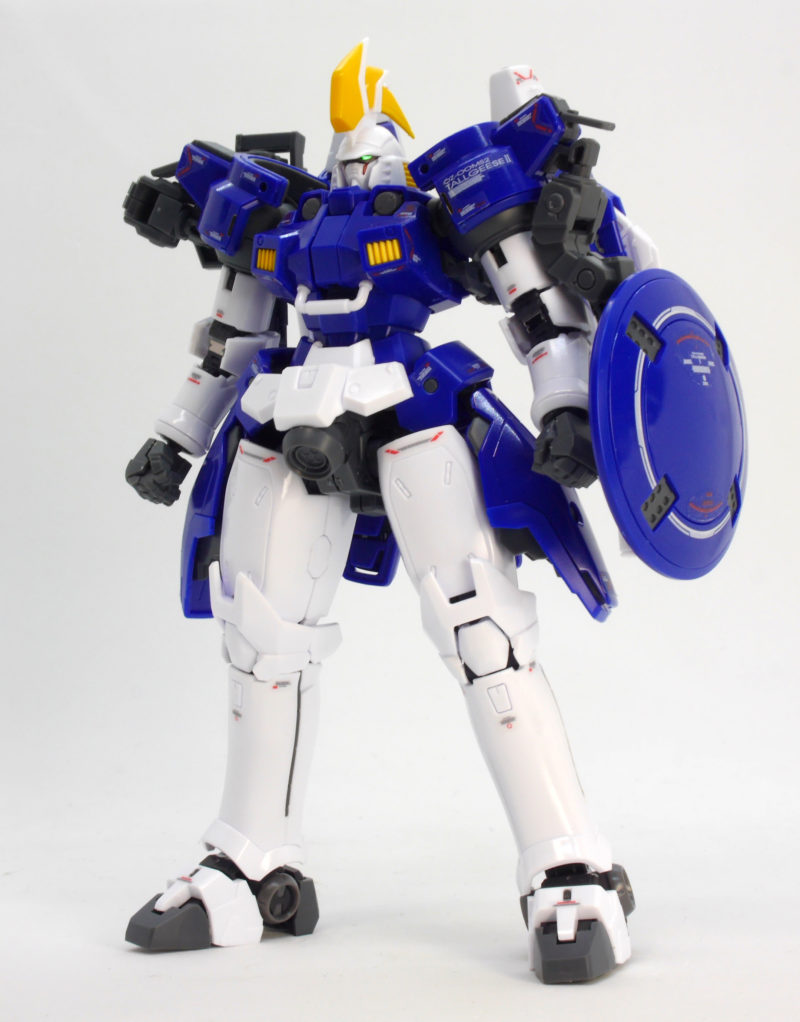 RG 톨기스 II 해외 리뷰_8.jpg