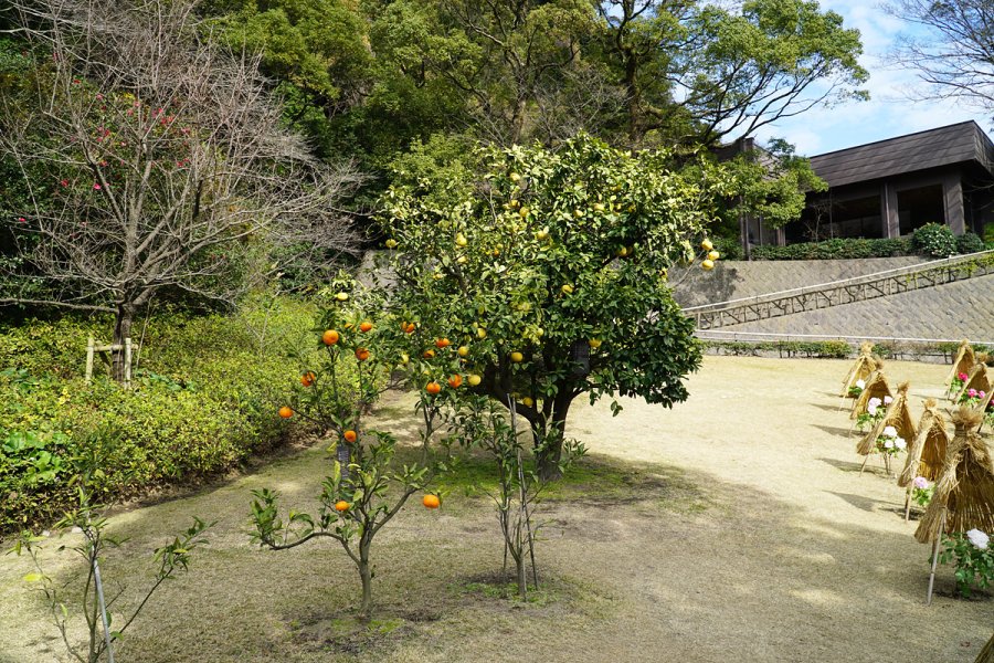 가고시마 2박3일 2일차 나가사키바나&센간엔&사쿠라지마_33.jpg