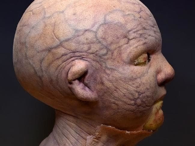 넷플릭스 [버드 박스] 괴물 디자인_2.jpeg