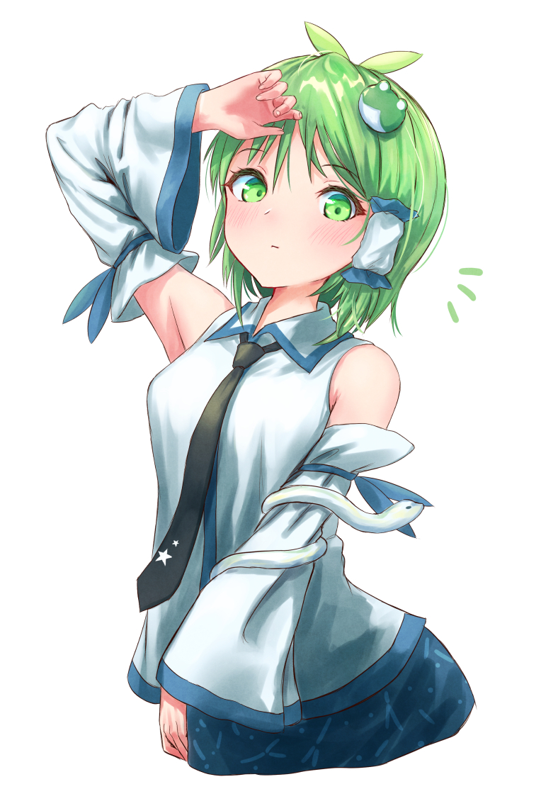 __kochiya_sanae_touhou_drawn_by_roke_taikodon__6a89c4cdabf5af1245c1fc991676d0e7.jpg