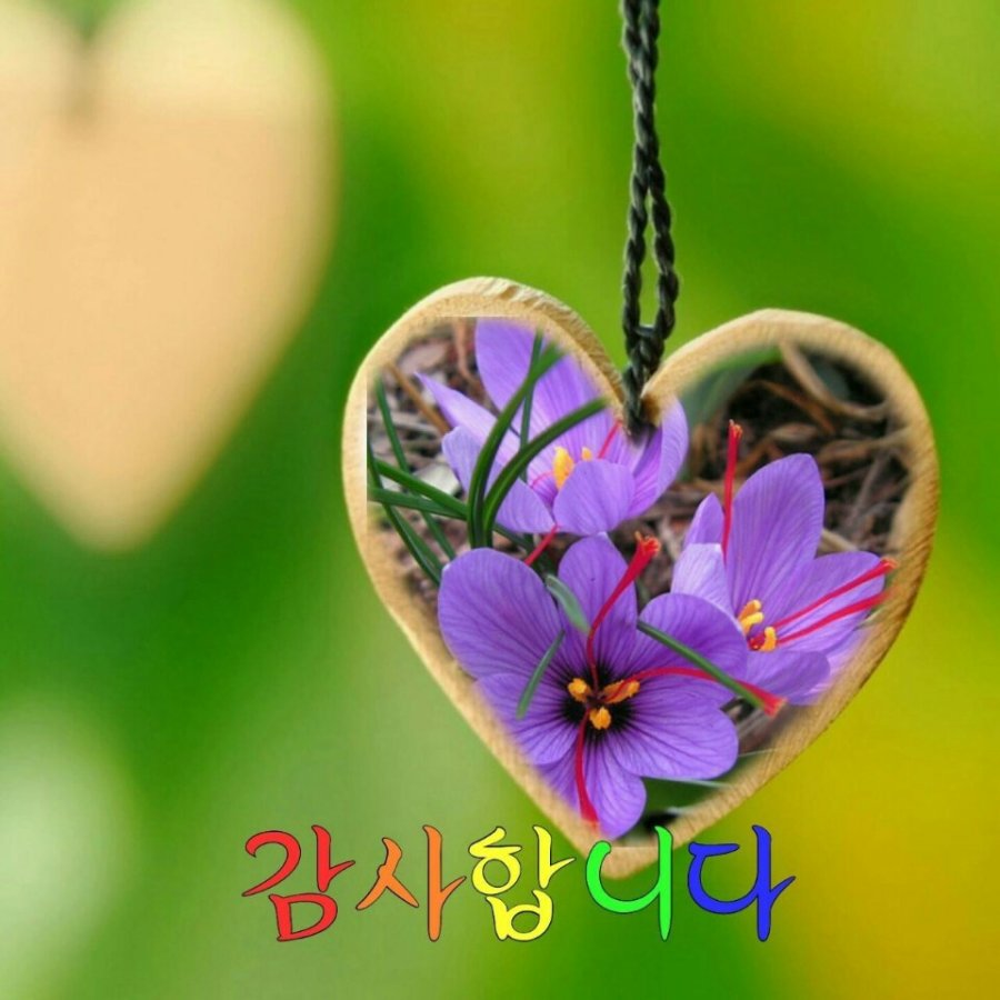 아이폰에서 19금게임인 라스트오리진을 할수있는 방법_2.jpg