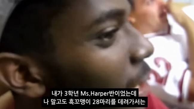 어느 흑인이 겪은 인종차별 소풍_5.png