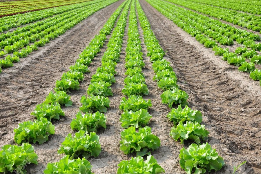 우산 만드는 과정.☂️_1.jpg