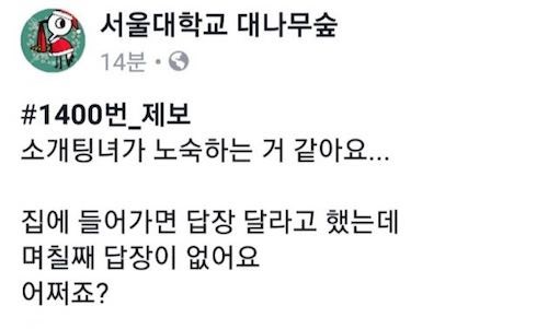 안쓰러운 서울대 대숲 사연.jpg_1.jpg