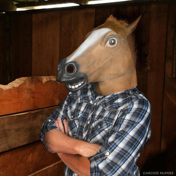 horse-mask_stable_800x.jpg