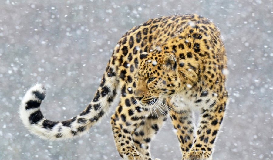 한국에서 지나가던 사람이 강한 이유_3.jpeg