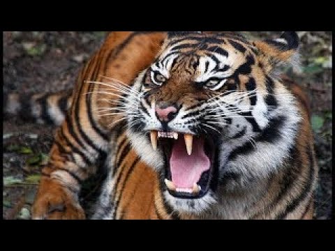 한국에서 지나가던 사람이 강한 이유_5.jpg