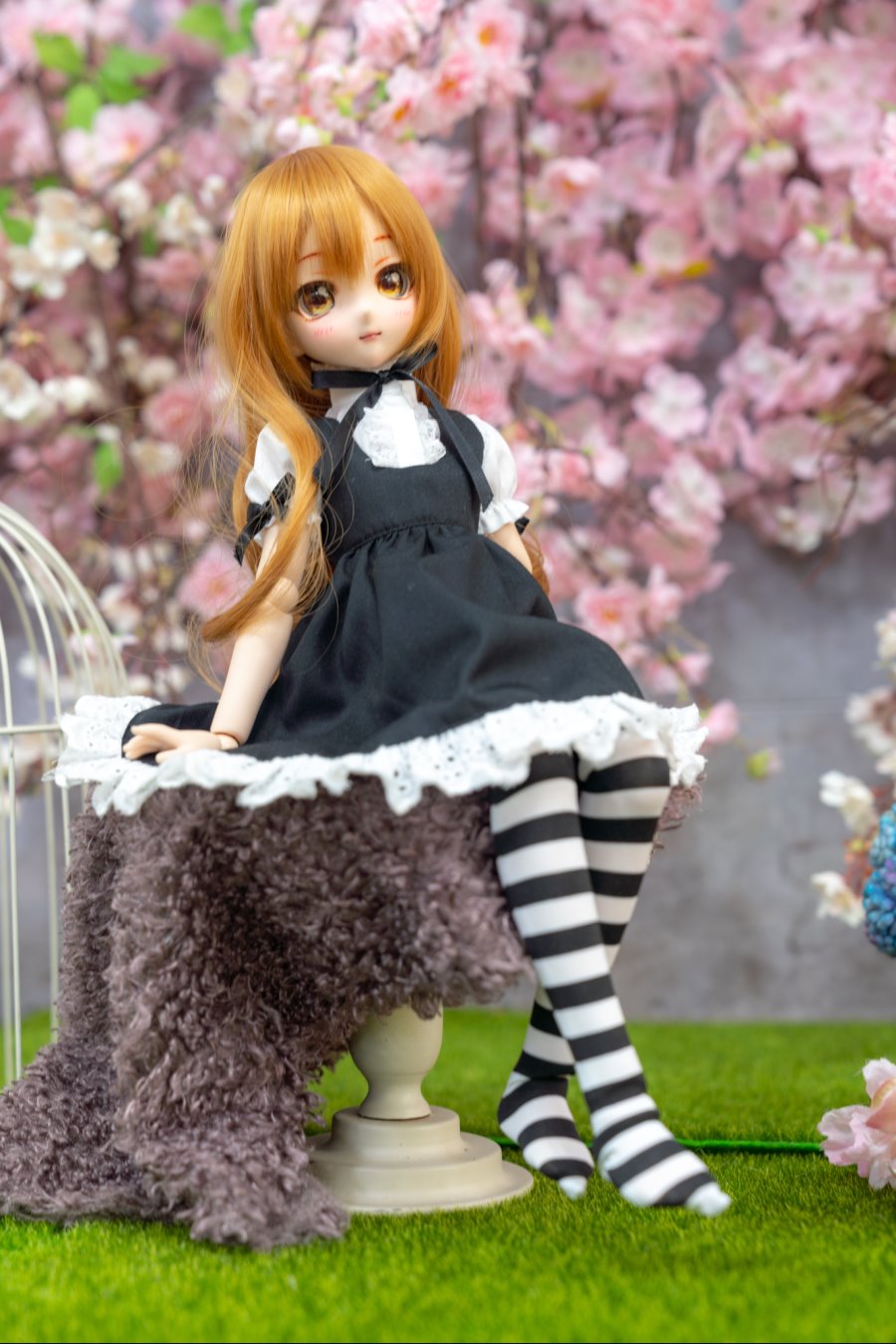 카페출사 다녀왔습니다. + 새로운DD영입_6.jpg