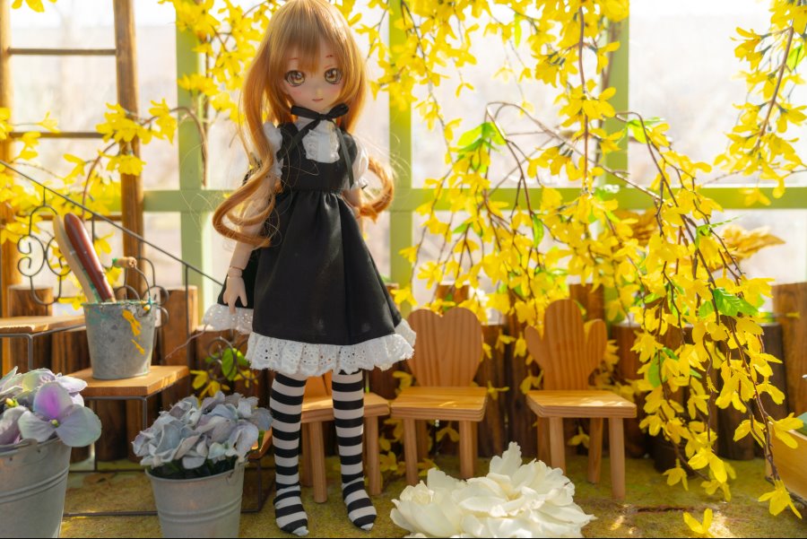 카페출사 다녀왔습니다. + 새로운DD영입_10.jpg