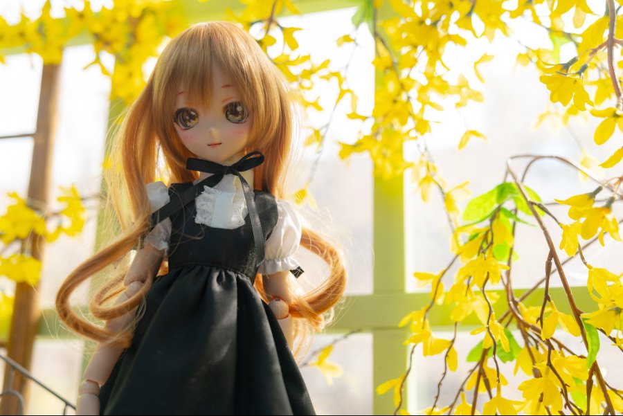 카페출사 다녀왔습니다. + 새로운DD영입_11.jpg