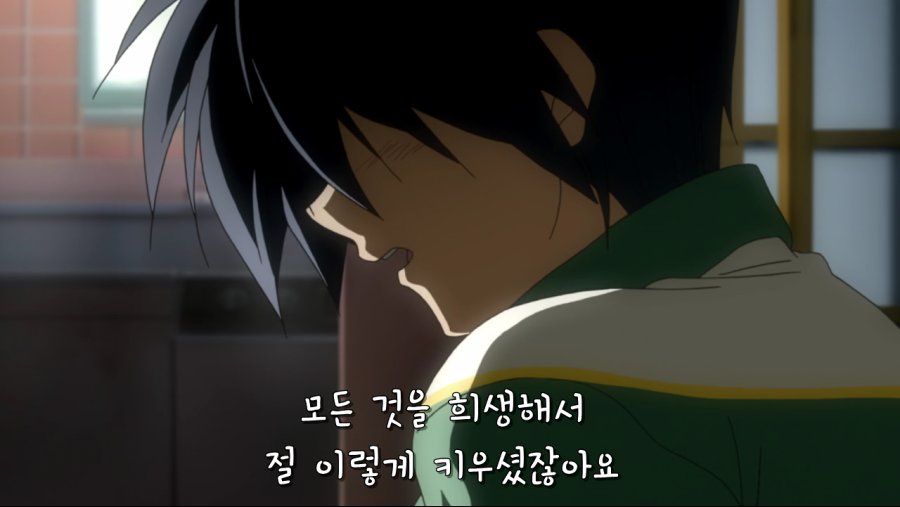 Clannad After Story - 19 [BD 1280x720 x264 AACx3].mp4_001060809.png