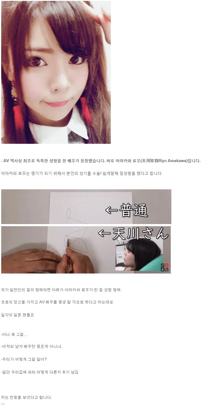 AV 배우 최초로 다른곳을 성형한 여성 .jpg_1.jpg